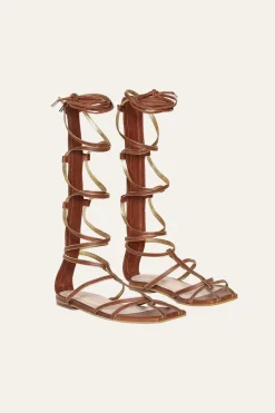 Baquiana Gladiators In Brown
