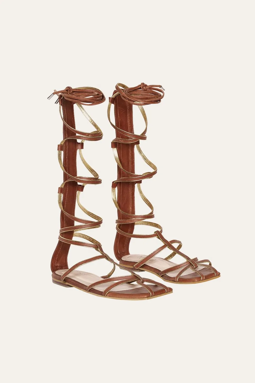 Baquiana Gladiators In Brown
