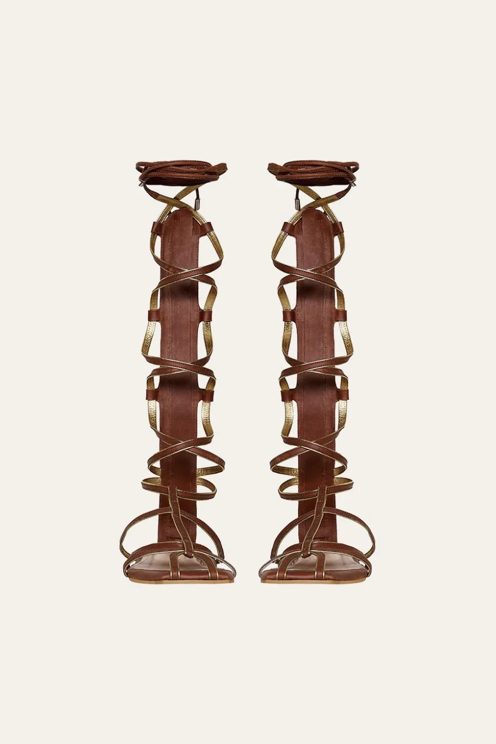 Baquiana Gladiators In Brown