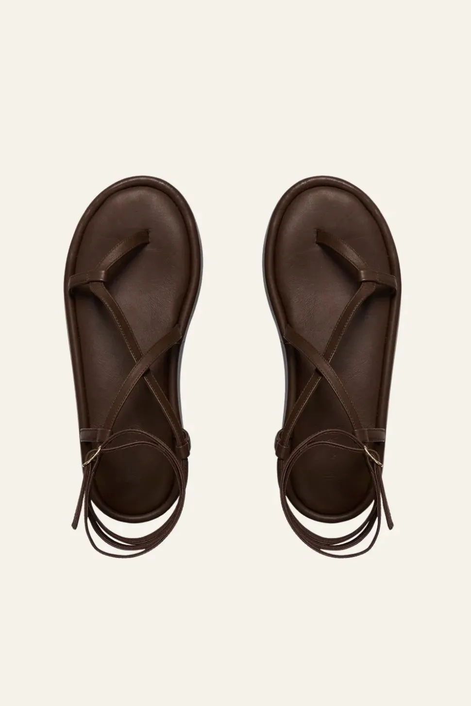 Cocobolo Sandals In Chocolate