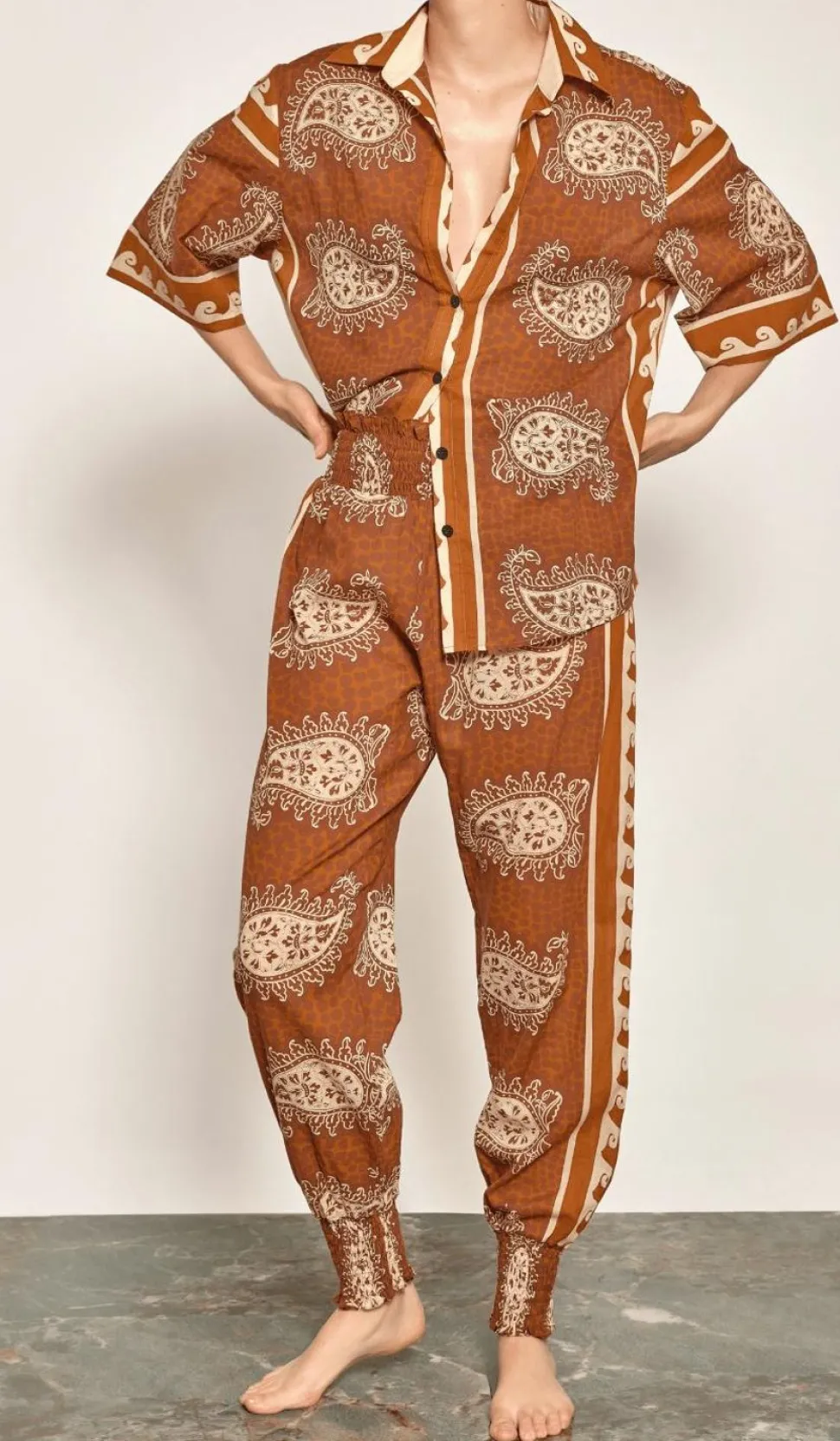 Paisley Situation Shirt In Brown